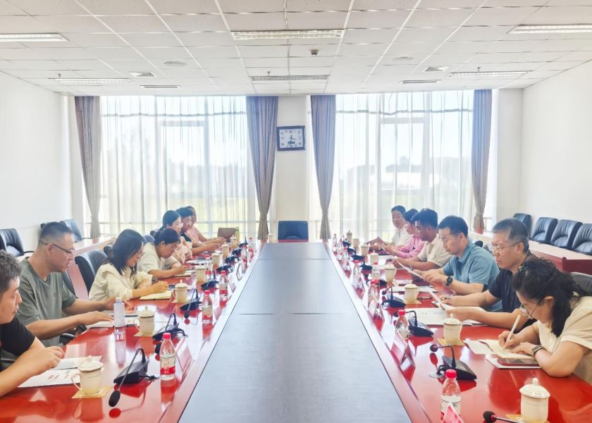 图片9