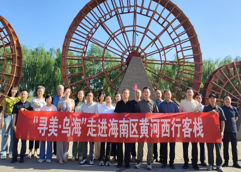 图片8