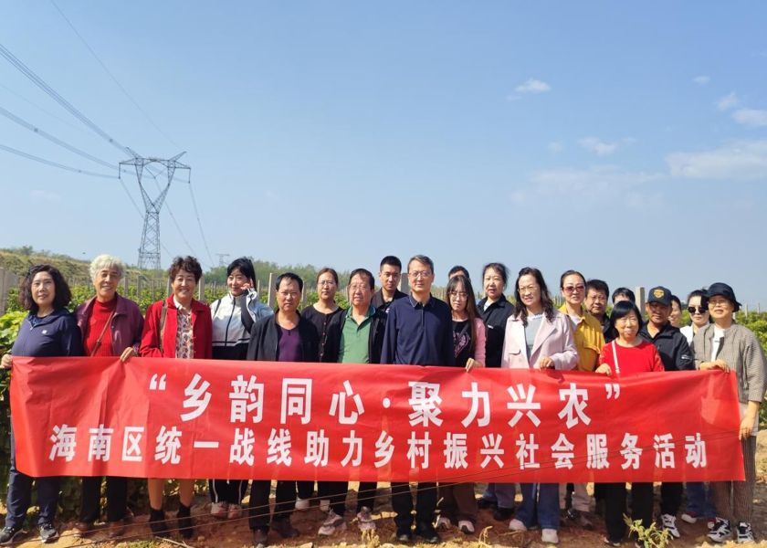图片15
